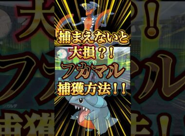【ポケモンレジェンズZA】捕まえないと大損？！　フカマル捕獲方法！！