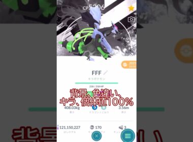 🐲最強のブラックキュレム誕生✨PL50背景色違いキラ100％💪 #ポケモンgo #pokemongo #pokemongoshorts