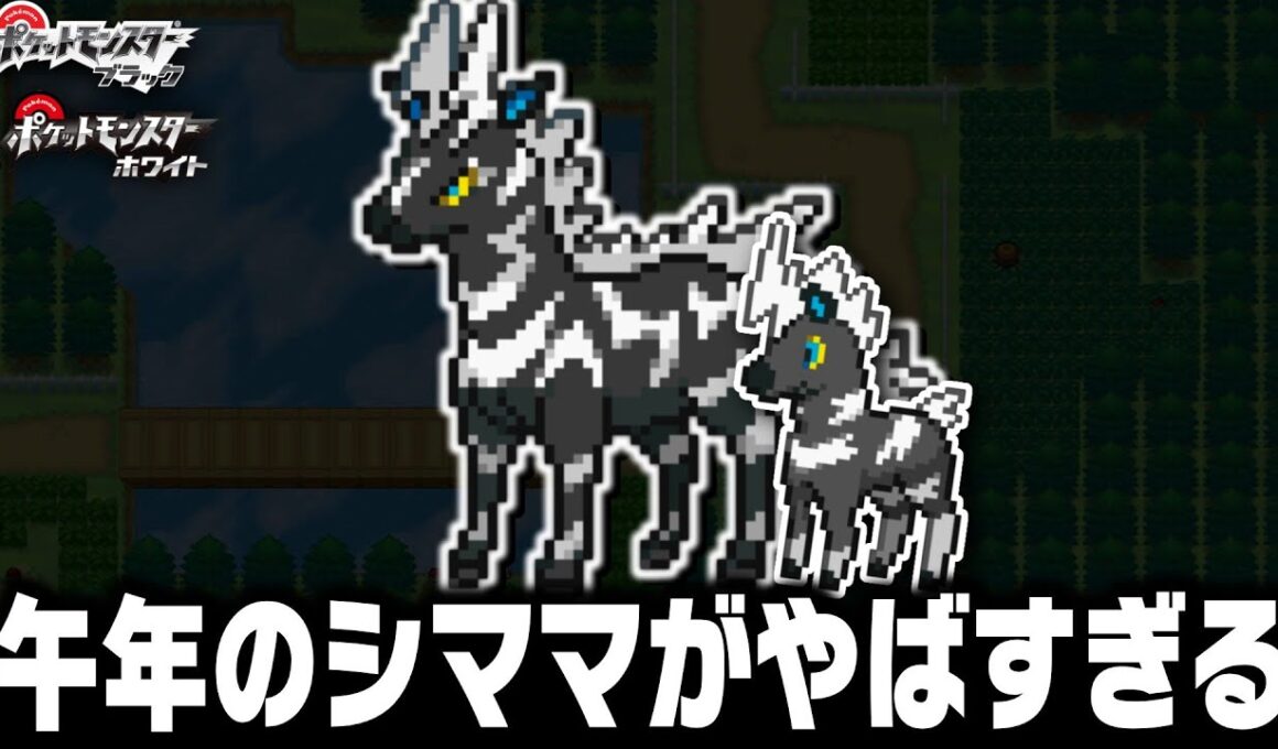 シママLv11が最初のポケモンだったら1匹で殿堂入りできるのか？【ブラックホワイト/BW/ゼブライカ】