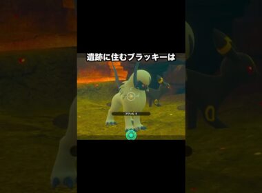 【ブイズ】ブラッキーとエーフィの遊び方の違い #ポケモン #newポケモンスナップ