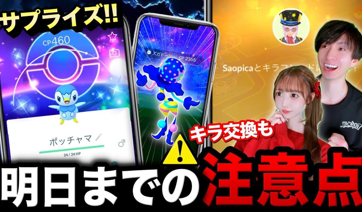 今やるべき重要ポイントまとめ！新スペシャル背景は過去最高！？ポッチャマコミュニティデイ復刻ライブ【ポケモンGO】