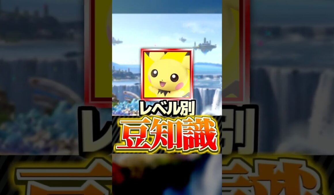 【ピチュー編】レベル別豆知識5選