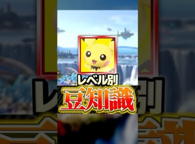 【ピチュー編】レベル別豆知識5選