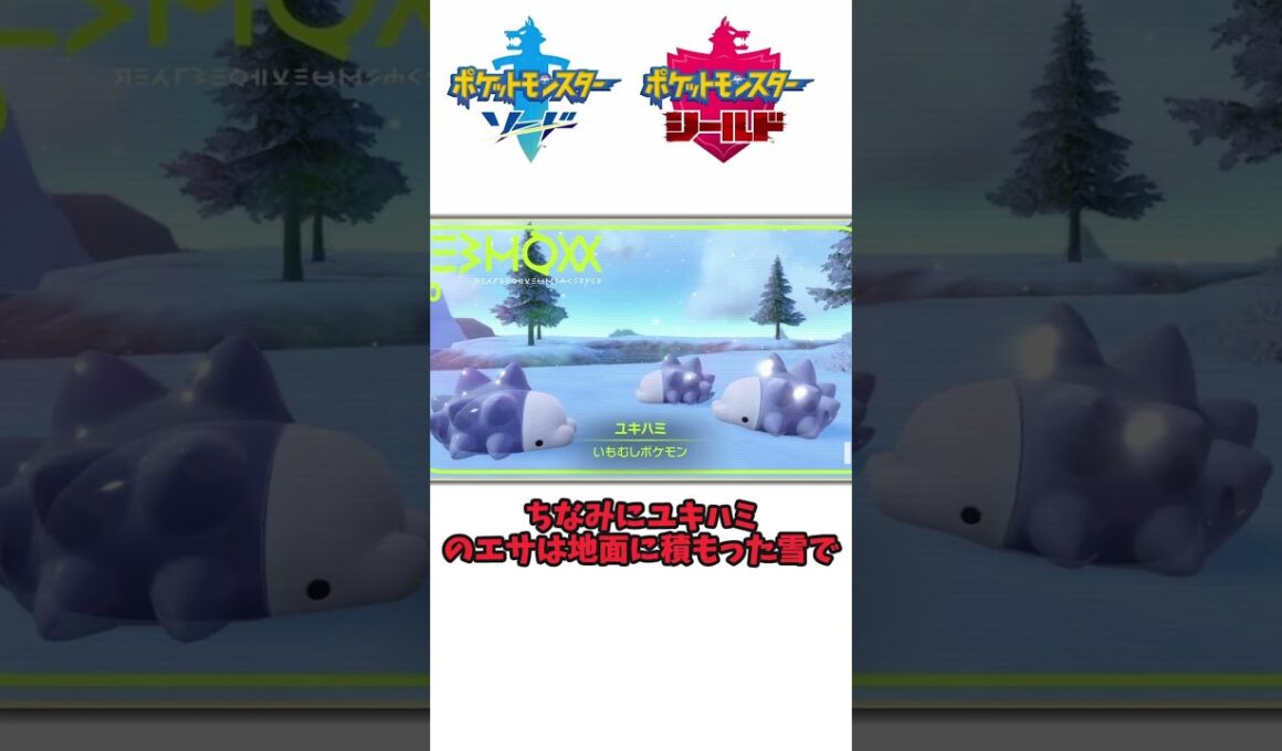 身を守るためのこの可愛さ！ユキハミの生態について（ガラル地方を語りたい） #ゆっくり実況 #ポケモン #ポケモン剣盾