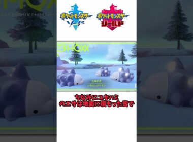 身を守るためのこの可愛さ！ユキハミの生態について（ガラル地方を語りたい） #ゆっくり実況 #ポケモン #ポケモン剣盾