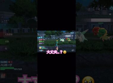【ポケモンZA】頑張れハリボーグ！ラグラージの逆襲編 #ポケモン