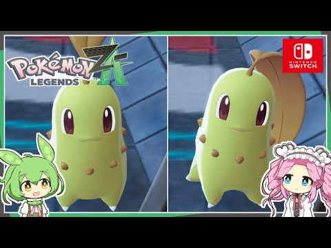 ひかるおまもりを入手したのでチコリータで初色違い厳選に挑戦！！【レジェンズZA】【ずんだもん・四国めたん/VOICEVOX実況】