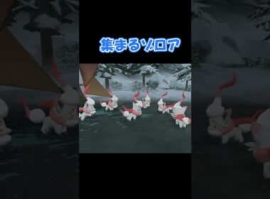 ゾロアを眺めるだけ #Shorts 【ポケモンレジェンズアルセウス】