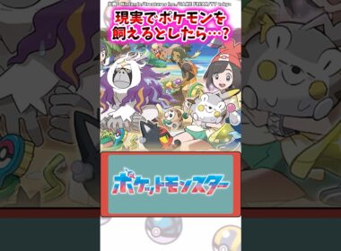 現実でポケモンを飼えるとしたら…?【ポケモン反応集】#レジェンズza #M次元ラッシュ #アニポケ