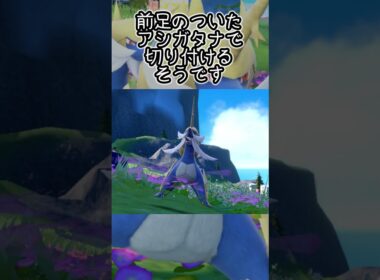 【疲れた人向け】ダイケンキ6匹とピクニック【ポケモンSV】#Shorts