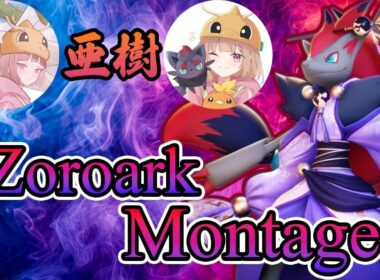 ゾロアークモンタージュ！