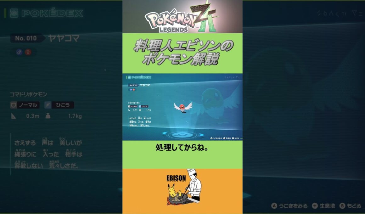 エビソンのポケモン解説200　#ポケモン #ポケモンza　#レジェンズ  #ヤヤコマ
