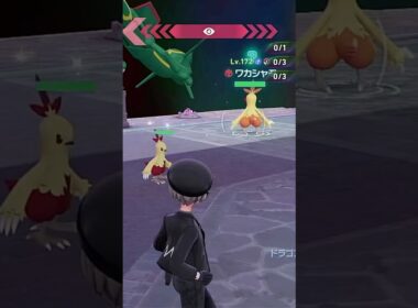 【ポケモンZA】きた！！色違いワカシャモ #アシャモ #バシャーモ