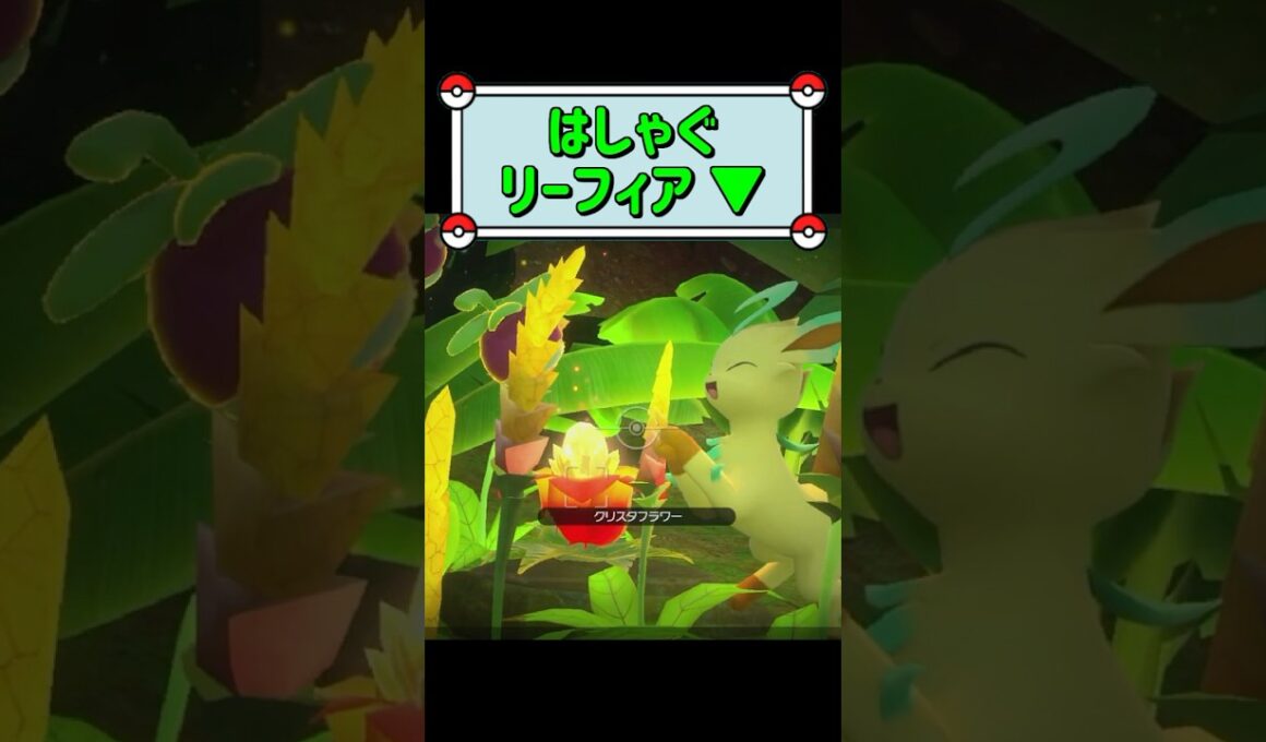 「はしゃぐリーフィア ▼」　#ポケモンスナップ　#ポケモン　#shorts