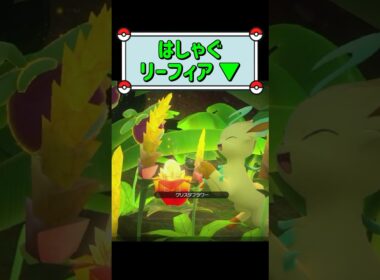 「はしゃぐリーフィア ▼」　#ポケモンスナップ　#ポケモン　#shorts