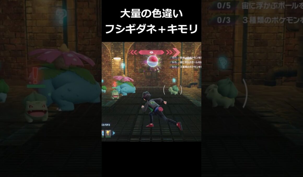 色違いフシギダネ大量発生!!＋色違いキモリ!! #ポケモンレジェンズZA  #shorts #switch2 #M次元ラッシュ