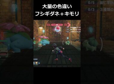 色違いフシギダネ大量発生!!＋色違いキモリ!! #ポケモンレジェンズZA  #shorts #switch2 #M次元ラッシュ