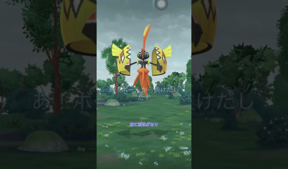 【ポケモンGO】カプ・コケコ討伐！伝説レイドバトル実況【日本語解説】