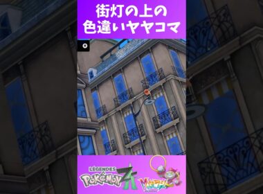 街灯の上の色違いヤヤコマ #shorts  #ゲーム実況 #nintendoswitch2 #pokemonlegendsza