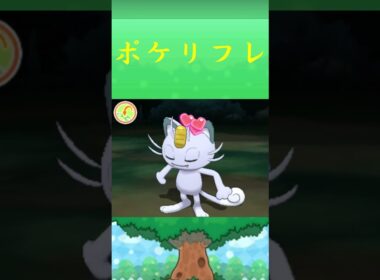 ニャース(アローラのすがた)ポケリフレ ポケパルレ #Pokemon  #3DS #ポケモンsv #nintendoswitch #nintendoswitch2 #pokemonlegendsza
