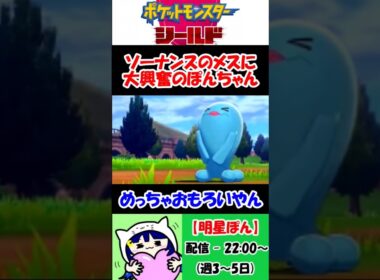 ソーナンスのメスに大興奮のぽんちゃん #明星ぽん #個人vtuber #切り抜き #ポケモン剣盾