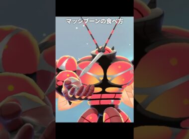 【ポケモン】マッシブーンのカレーの食べ方【ポケモン剣盾】