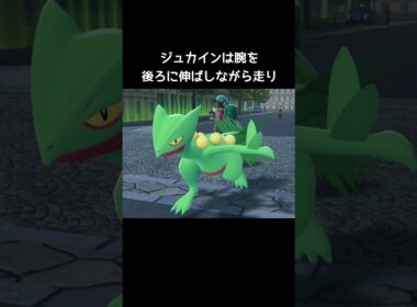 ジュカインたちの走り方【ポケモンZA】#キモリ#ジュプトル