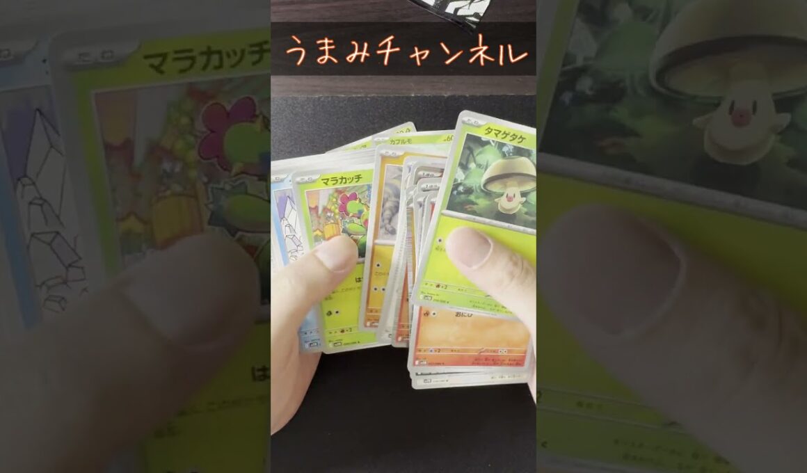 【ブラックボルト】5パックでガマゲロゲARを狙っていく #shorts