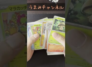 【ブラックボルト】5パックでガマゲロゲARを狙っていく #shorts