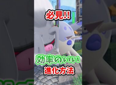 【裏技】コノヨザルの効率のいい進化方法って知ってる？ #ポケモンレジェンズza #M次元ラッシュ