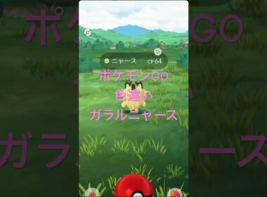 【ポケモンGO】　色違いガラルニャース🐈