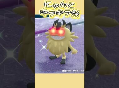 きらりん祭だニャース！！！！【ポケモンレジェンズZA/M次元ラッシュ】