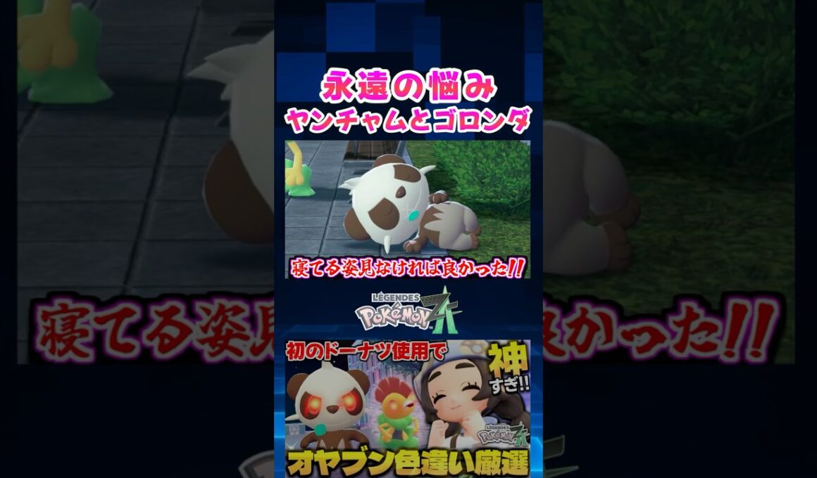 【ポケモンZA】DLC『M次元ラッシュ』で厳選したヤンチャムのオヤブン色違いを通常サイズと比較してみた!!【色違い厳選】【切り抜き】 #shorts