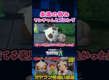 【ポケモンZA】DLC『M次元ラッシュ』で厳選したヤンチャムのオヤブン色違いを通常サイズと比較してみた!!【色違い厳選】【切り抜き】 #shorts