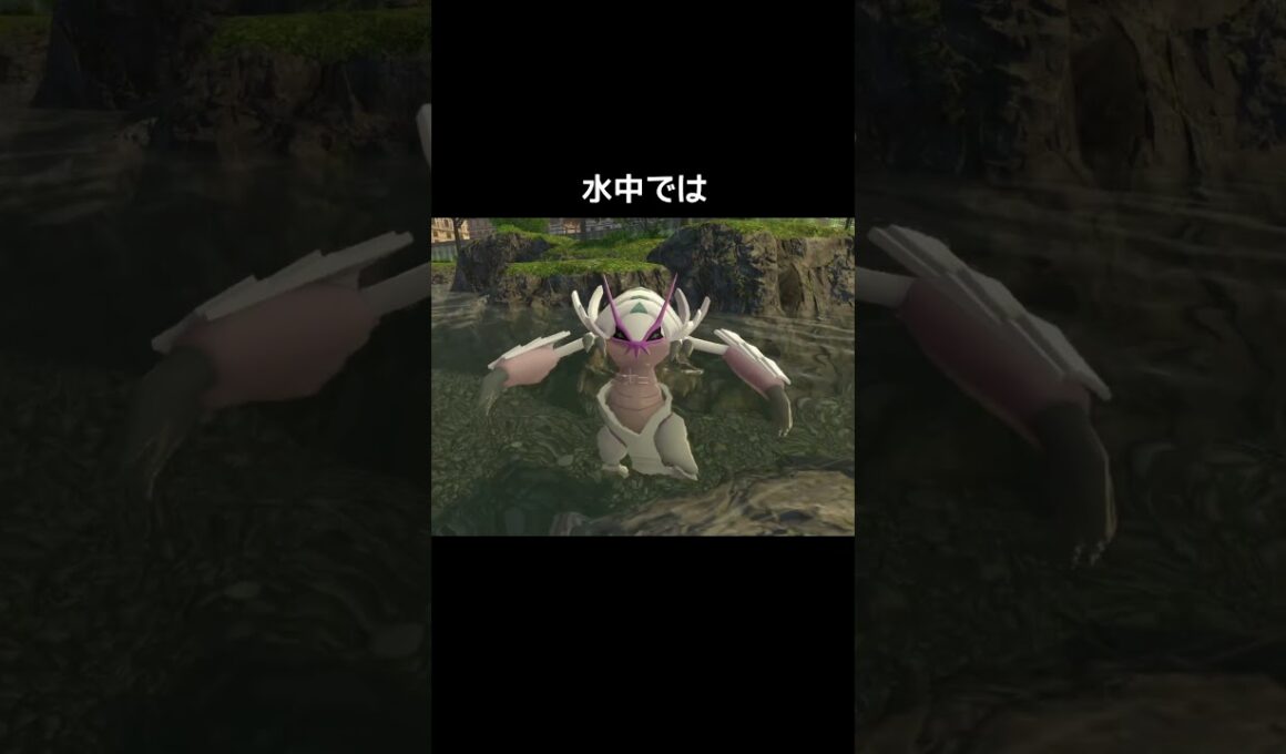 グソクムシャの寝方の違い【ポケモンZA】#ダンゴムシ#水中#眠り