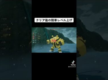 ポケモンアルセウス　レベル上げ