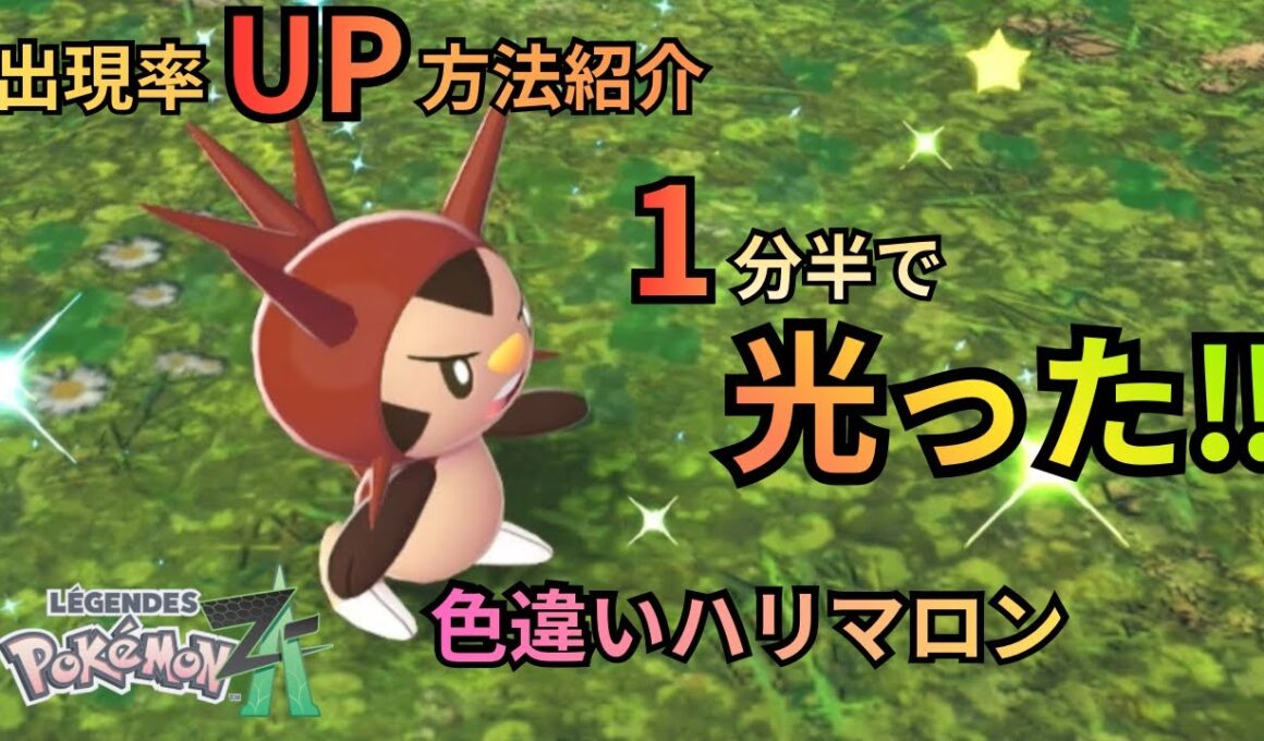 【ポケモンZA】色違いハリマロン光った‼️最速で出す厳選ルートも紹介！