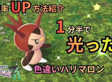【ポケモンZA】色違いハリマロン光った‼️最速で出す厳選ルートも紹介！