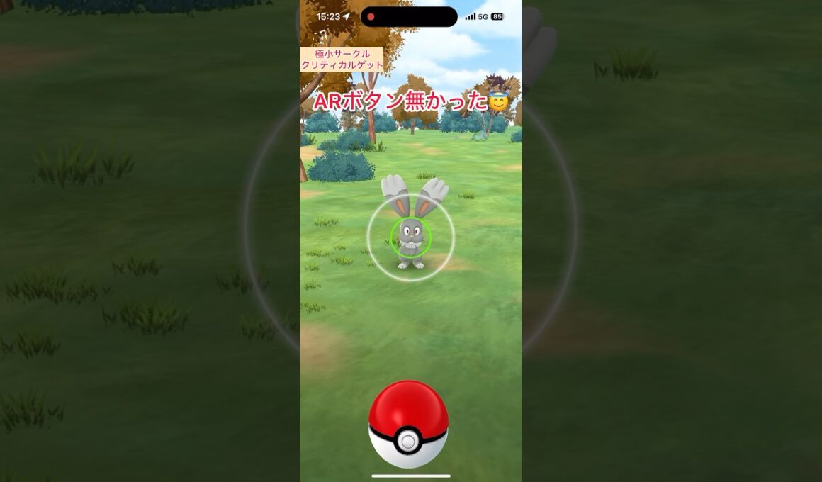 【難易度中】色違いホルビー極小サークルクリティカルゲット【ポケモンGO】