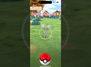 【難易度中】色違いホルビー極小サークルクリティカルゲット【ポケモンGO】