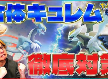 合体キュレムやる人絶対見て!!最新対策ポケモン&気を付けるべきポイント!!【ポケモンGO】