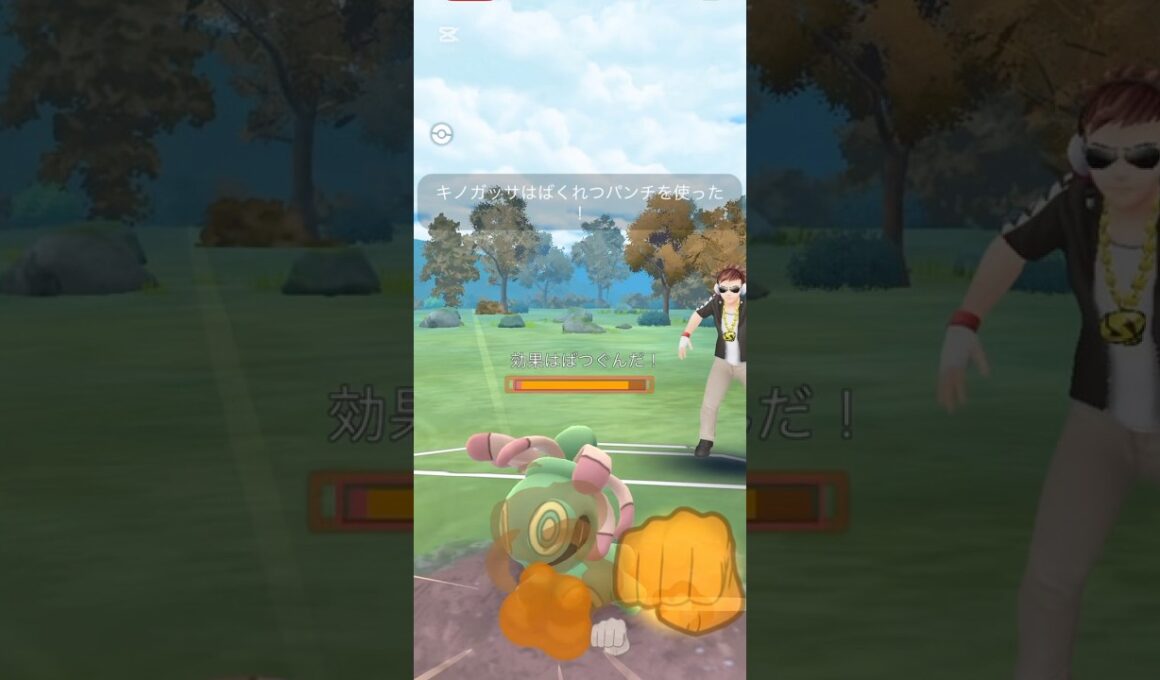 キノガッサ楽しい