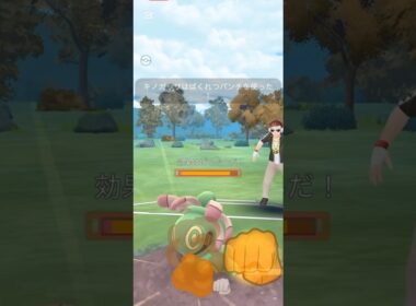 キノガッサ楽しい