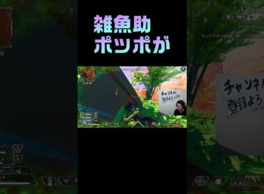 雑魚助ポッポが！！　#shorts #杉健太 #apexlegends #apex