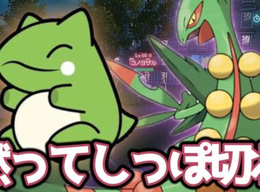 最強火力で押しつぶせ！切りまくりメガジュカイン！ 【ポケモンZA】 【ランクマ】 【メガ次元ラッシュ】 【パーティー構築】