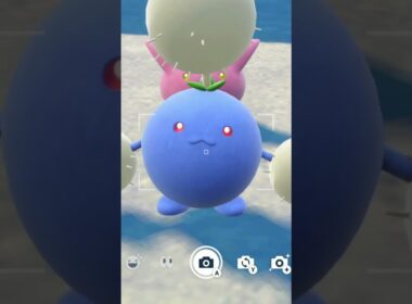 ハネッコとワタッコを愛でるかい #ポケモン #ハネッコ #ワタッコ