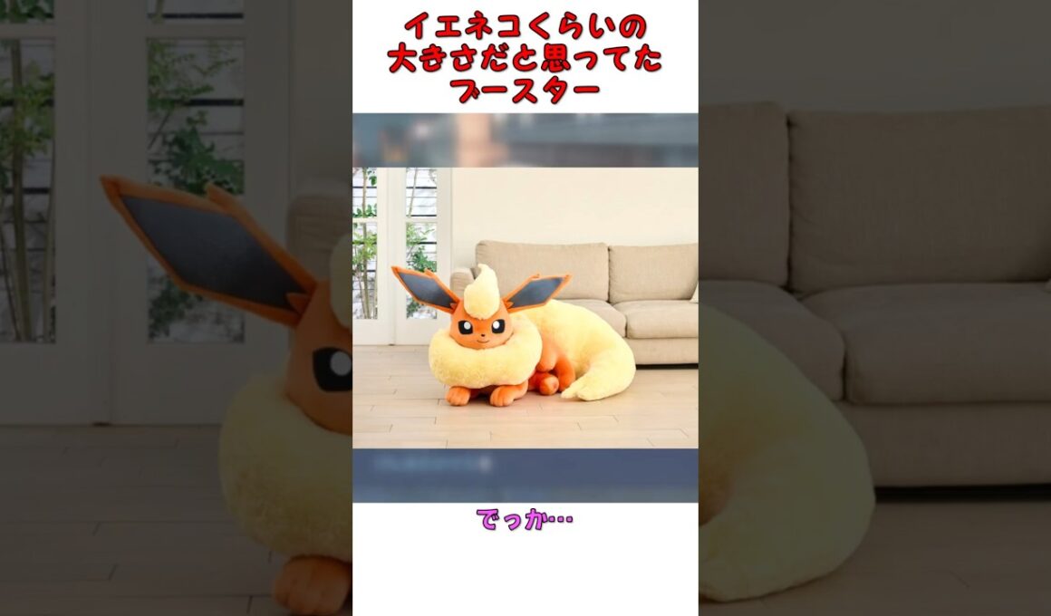 ポケモン、イエネコぐらいと思っていたブースターに違和感 #ポケモン #pokemon #反応集
