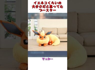 ポケモン、イエネコぐらいと思っていたブースターに違和感 #ポケモン #pokemon #反応集