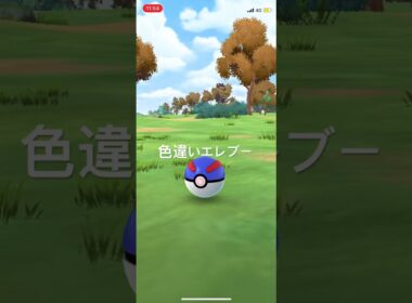 ポケモンGO 色違いエレブー出現！ #ポケモン #pokémon #ポケモンgo