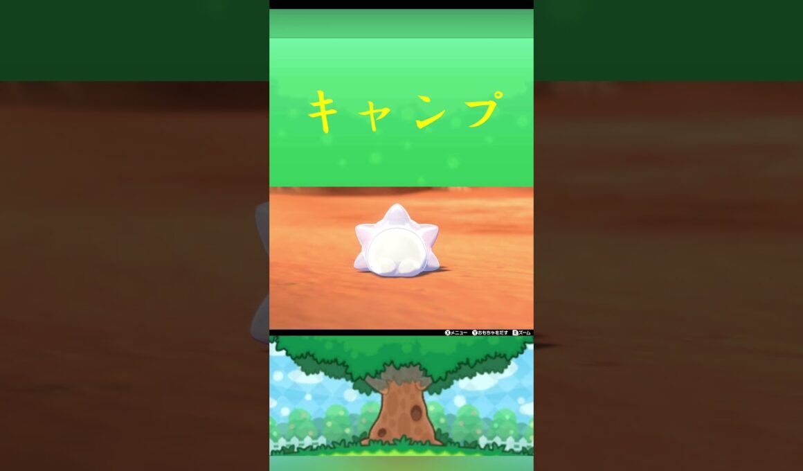 ポケモン ユキハミ キャンプ ポケリフレ ポケパルレ #ポケモン #Pokemon  #nintendoswitch  #ポケモンsv  #ふれあい #キャンプ  #ピクニック #ポケモン剣盾